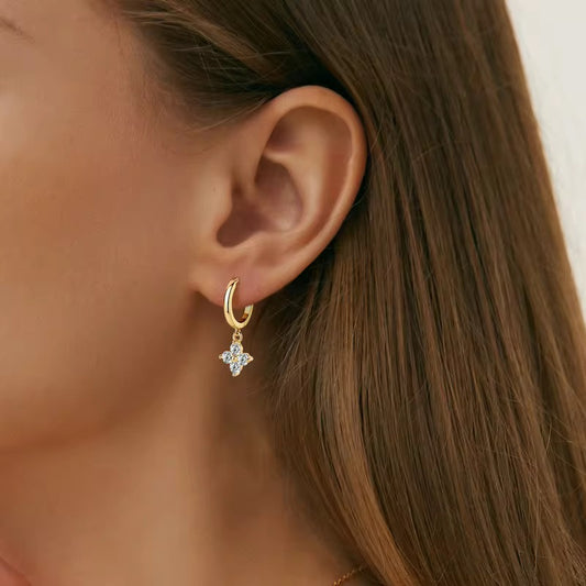 Örhänge Mininätt Silver